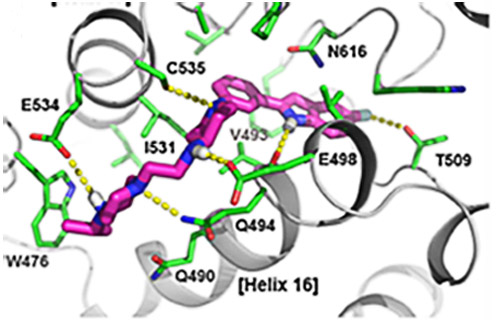 Helix Drug protein.