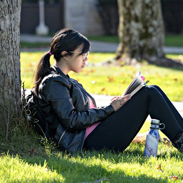 Student reading under tree